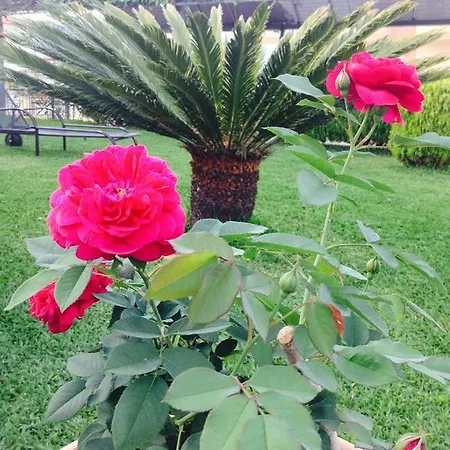 Pfaffenhofen * Vrasná