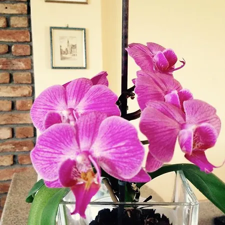 Pfaffenhofen Врасна