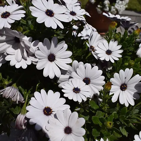 Appartement Pfaffenhofen *