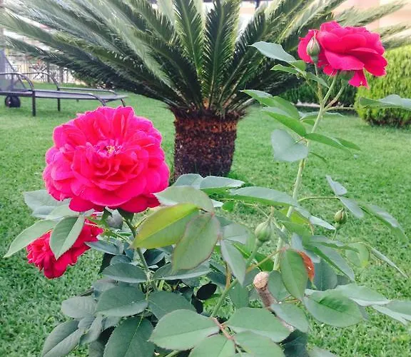 Pfaffenhofen * Vrasná