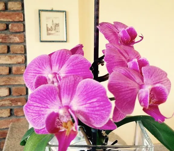 Pfaffenhofen Vrasná